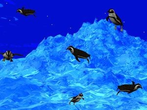 3D Swimming Penguins screenshot