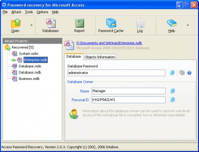 Access Password Recovery Pro 2.0.4 screenshot