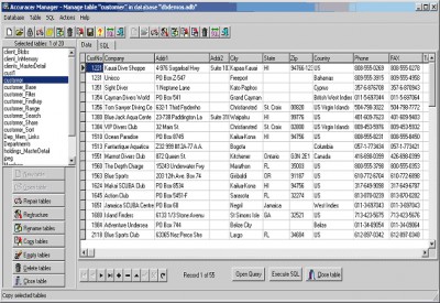 Accuracer Database System v4.03 screenshot