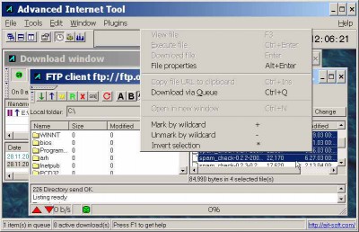 Advanced Internet Tool 2.2.2 screenshot