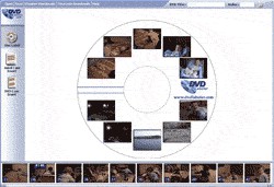 DVD Labeler 3.00.0011 screenshot