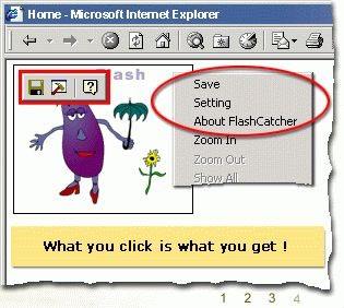 FlashCatcher 2.6 screenshot