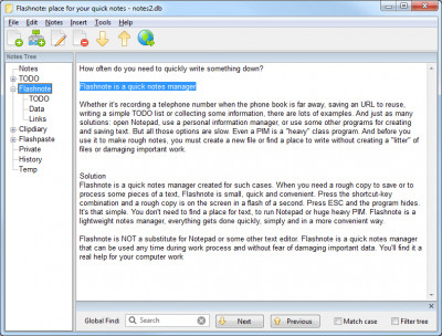 Flashnote 4.81 screenshot
