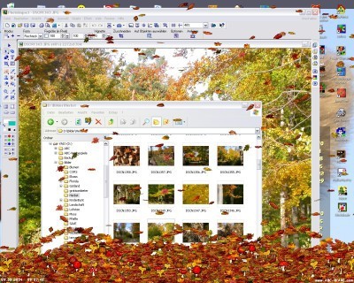 Leaves Screensaver 1.00.0389 screenshot