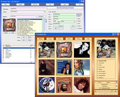 Organizer Mp3 4.01 screenshot