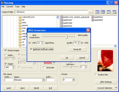 ReaJpeg - image converter to Jpeg 1.2 screenshot