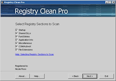 Registry Clean Pro 1.0 screenshot