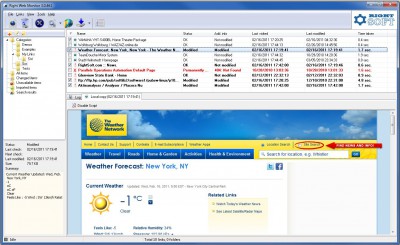 Right Web Monitor 3.0.512 screenshot