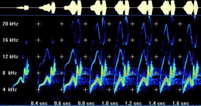 Spectrogram 0.1b screenshot