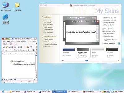 WindowBlinds 10.81 screenshot