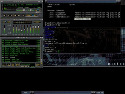 XMMS  screenshot