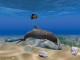 Dolphin Aqua Life 3D Screensaver 1.0