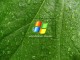 Free Windows Vista Screensaver 1.0