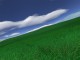 Green Fields 3D Screensaver 1.1