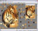 Jigsaw Mania 2.1 Screenshot