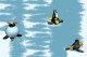 Penguin Party Screensaver 1.1