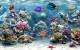 Sim Aquarium Free Tank 2.32 Screenshot