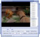YASA DVD to 3GP Converter 2.6.82.2847 Screenshot